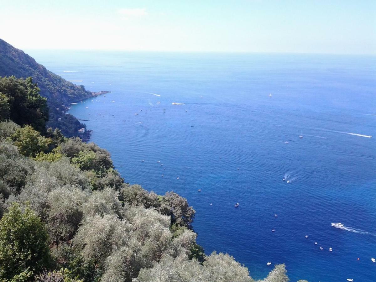 Casa Constanza Pace E Relax In Liguria Apartment Camogli Luaran gambar